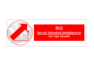 Result Oriented Intelligence (ROI)