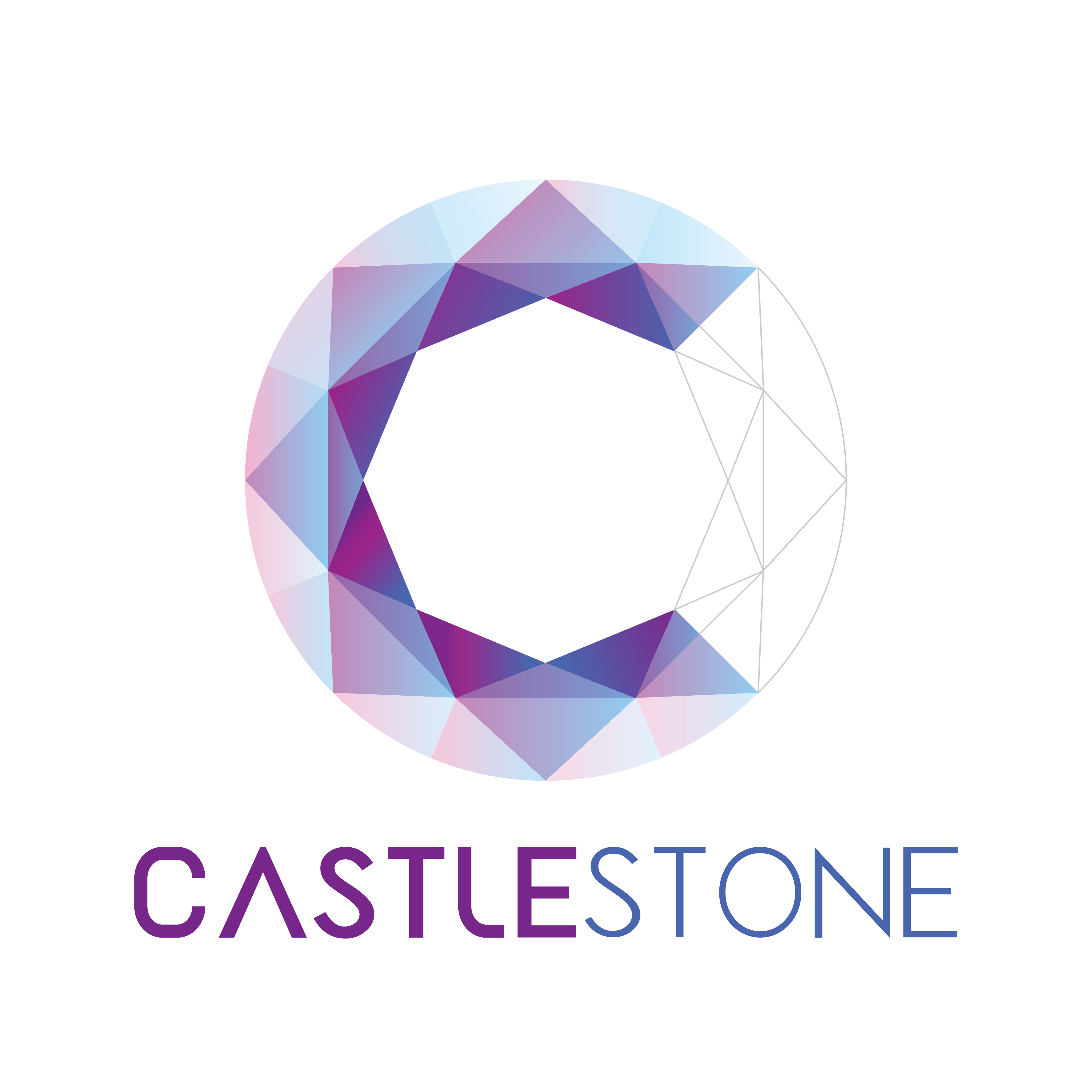Castlestone Intelligent Technology (Shanghai) Co.,Ltd