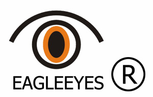 Eagleeyes Hardware Co., Ltd.