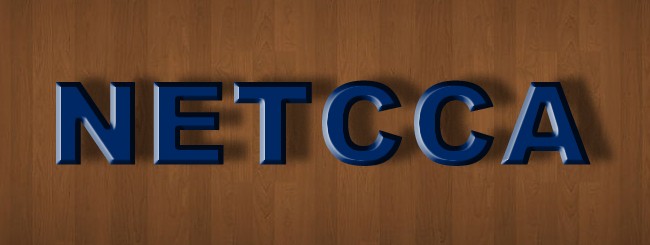 NETCCA Electronic Power Co.ltd.