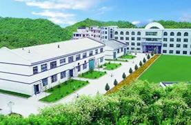 Anping Jiangtai Wire Mesh Producing Co., Ltd