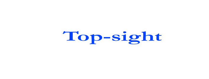 Top Sight International Dance Co. Ltd.