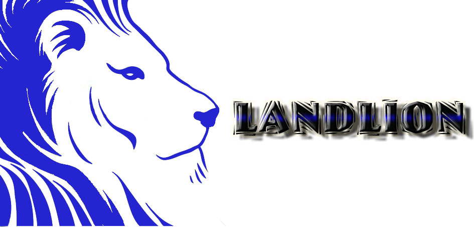 Landlion Drilling Tools Co.,Ltd.