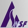 China NSF Bearing Co.,Ltd