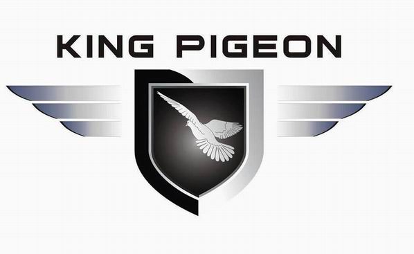 King Pigeon GSM M2M Co.,Ltd