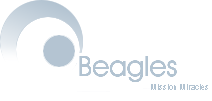 Beagles Technologies
