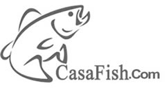 Fresh Fish export