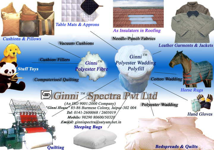 Ginni Spectra Pvt Ltd