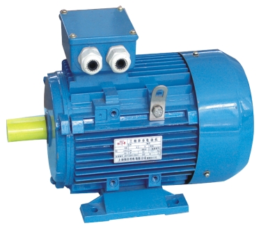Y series 3 PHASE Electric Motor