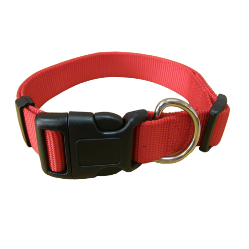 pet collar with leash