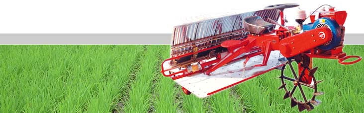 rice transplanter (6rows)