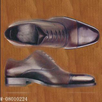 dress fashion shoes