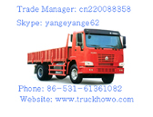 Howo 4x2 Cargo Truck