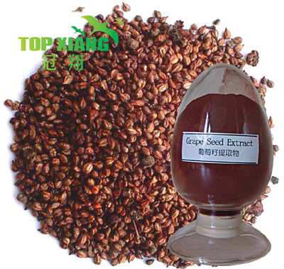 Grape Seed Extract