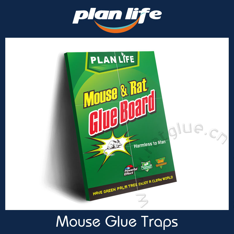 hot melt adhesive for mouse glue traps