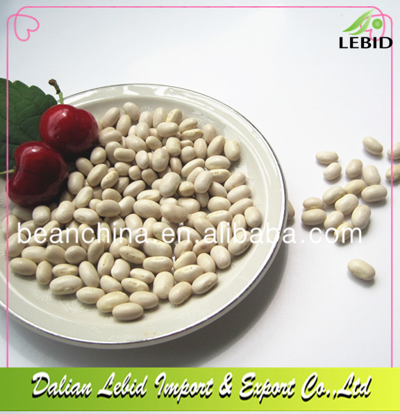 White kidney beans Japanese type good quality