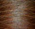 horse tail hair