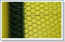 Hexagonal wire  netting