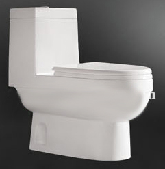 Siphonic One piece toilet