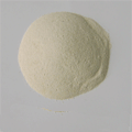Wheat protein concentrate