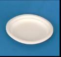 disposable tableware TY02