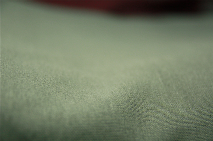Polyester cotton fabric for sofa and upholstery