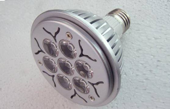 High Power LED Spotlight PAR30