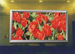 LED Display Full Color PH5mm（indoor）
