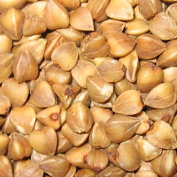 roasted buckwheat kernel
