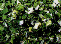 australia alfalfa dehydrated