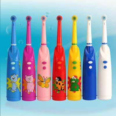 electric toothbrush HL248