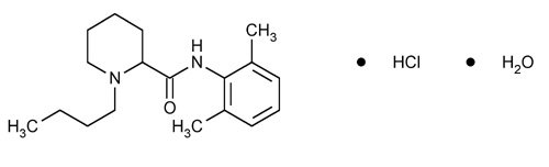 Bupivacaine Hydrochloride