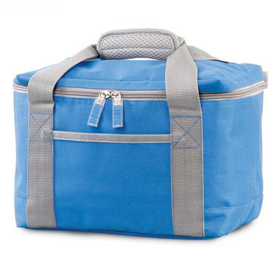 Cooler bags&picnic bags&camping bags&cooler bag
