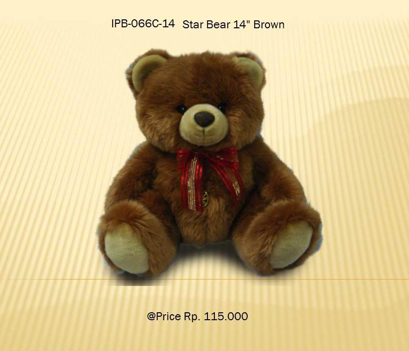 Star Bear 14