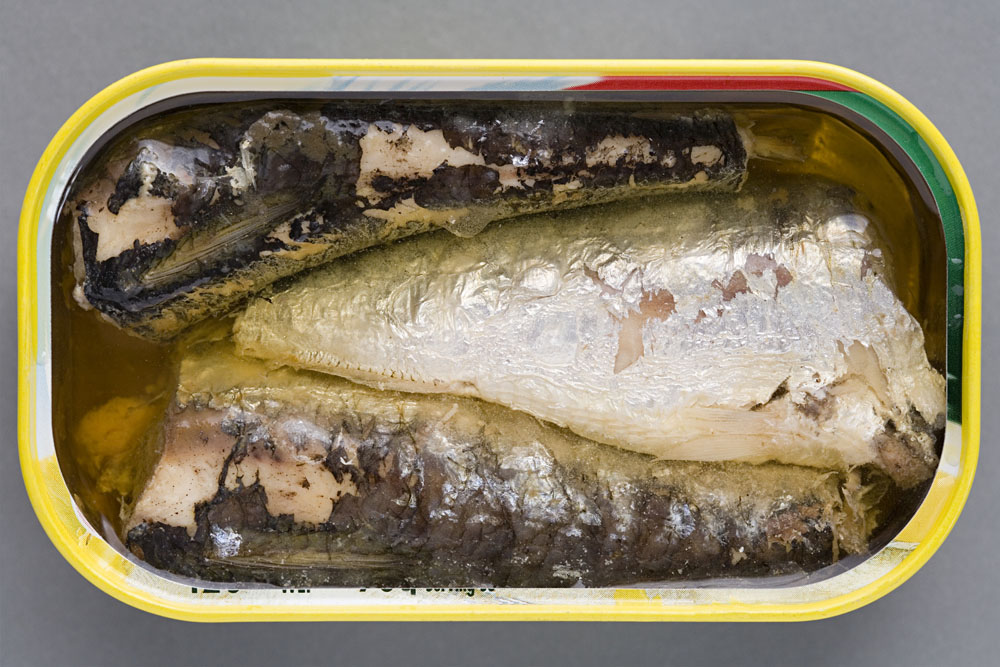 canned tuna in oil and in salt