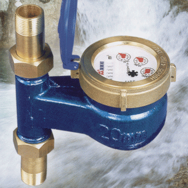 Rotary vane water meter