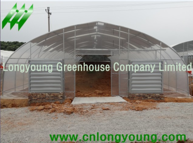 Economical Tunnel Greenhouse