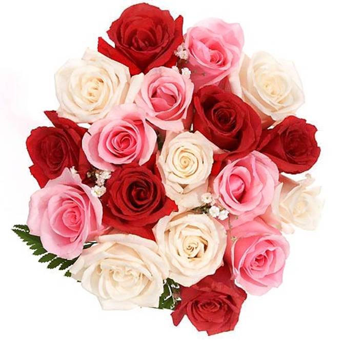 Same Day Flowers and Cake Gifts Delivery to India
