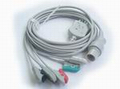 MB 5L one-piece patient cable with leads