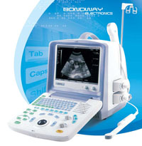 Digital Portable Ultrasound Scanner (BW8S)