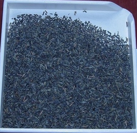 Chinese tea-green tea chunmee 8147