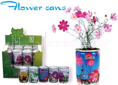 Flower Cans