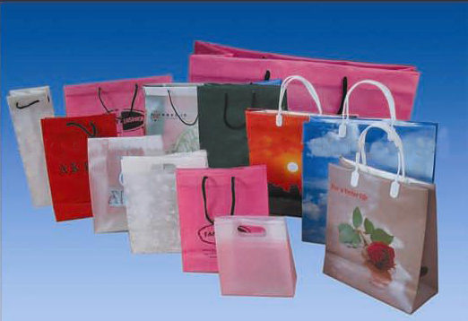 Fashion Shopping Bags