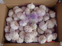 China Garlic,Pure white garlic,normal white garlic