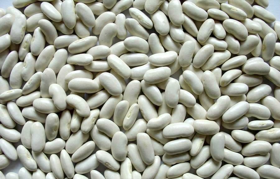 medium white kidney beans