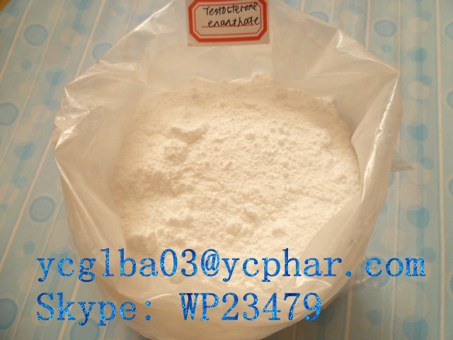 High purity Testosterone Enanthate (Steroids)