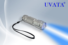 Portable UV light