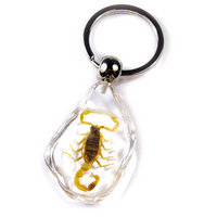 real insect amber keychains,unique gift
