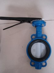 Wafer Type Butterfly Valve Disc Coated Nylon