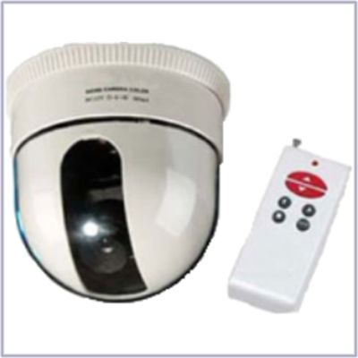 ADVISION 1/3-inch SONY CCD Dome PTZ Camera